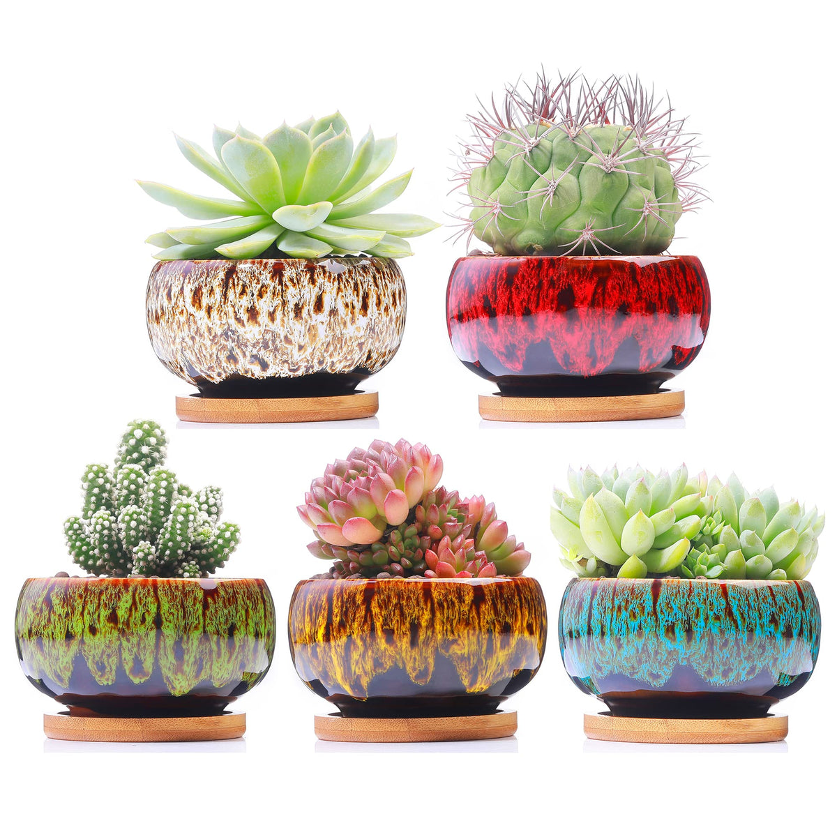 LamDawn round succulent pot with drainage and attached saucer, glazed for long-lasting indoor decor.