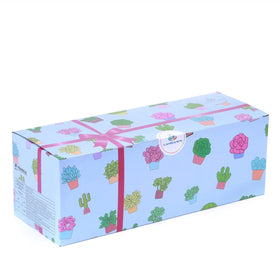 LamDawn round succulent pot is gift-ready for thoughtful plant gifts.