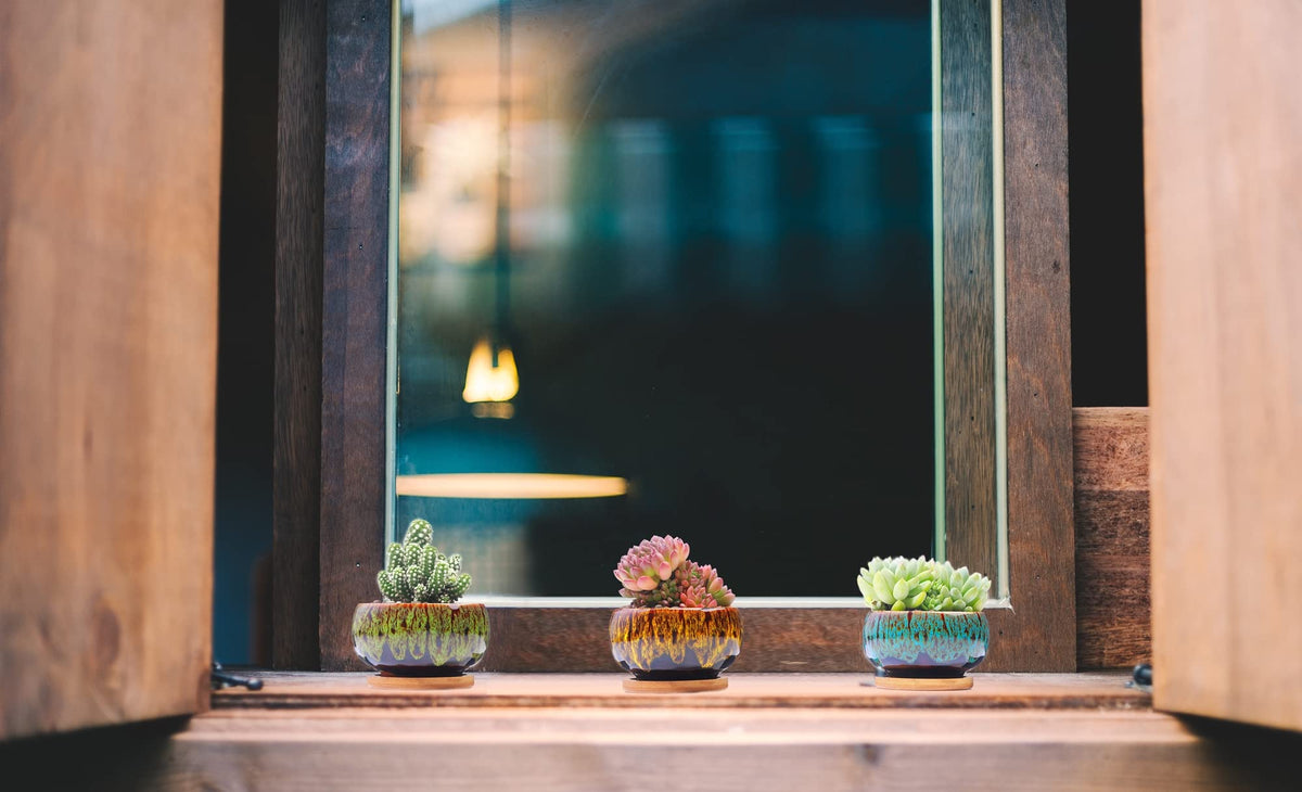 LamDawn round succulent pot in sturdy terracotta, ideal for desks and windowsills.