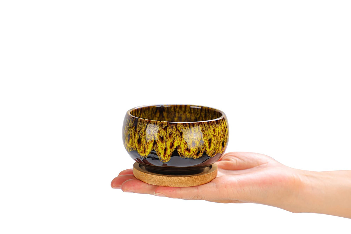 LamDawn round succulent pot enhances kitchen and living spaces with color and charm.