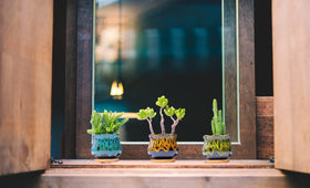 LamDawn planter with drainage hole keeps soil breathable for thriving succulents.