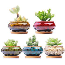 LamDawn succulent pot with drainage hole and attached saucer for desk plants