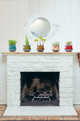 LamDawn terracotta pots showcase crackle glaze for a modern touch.