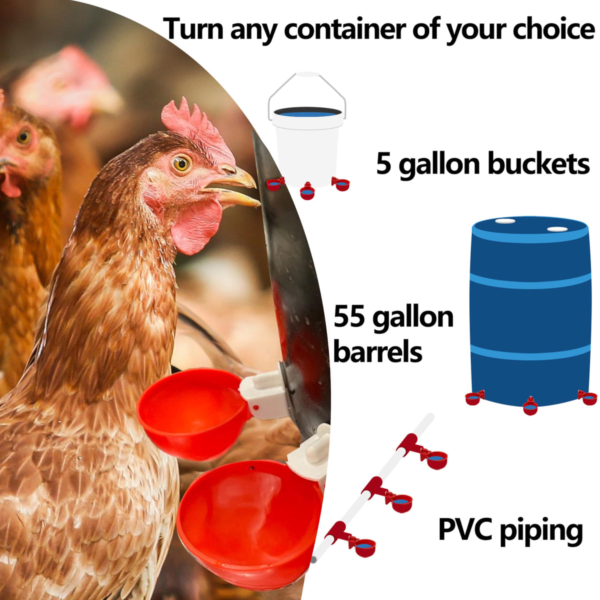 LANARP gravity-feed poultry waterer cups in action provide automatic refills as levels drop