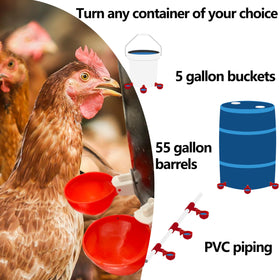 LANARP gravity-feed poultry waterer cups in action provide automatic refills as levels drop