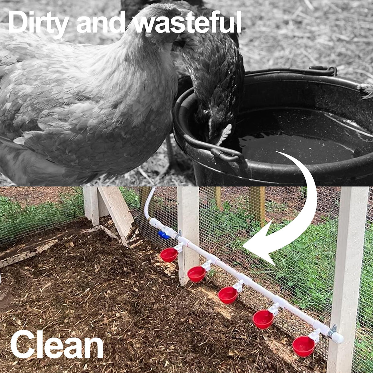 LANARP poultry watering system in a coop scene highlights versatile application
