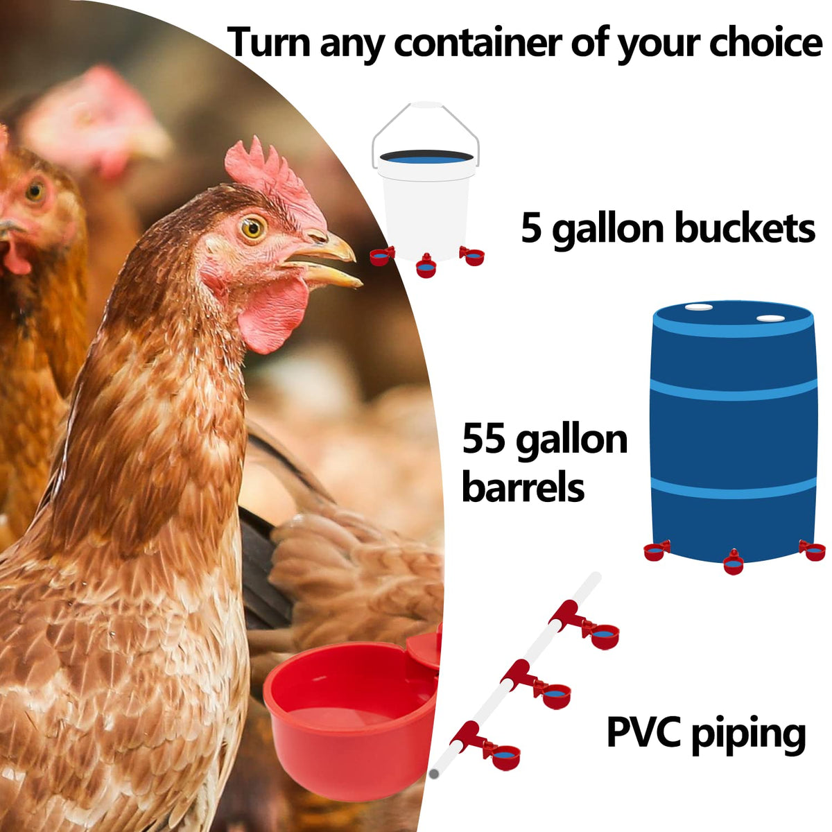 LANARP 12-pack waterer kit provides efficient flock hydration for larger coops.
