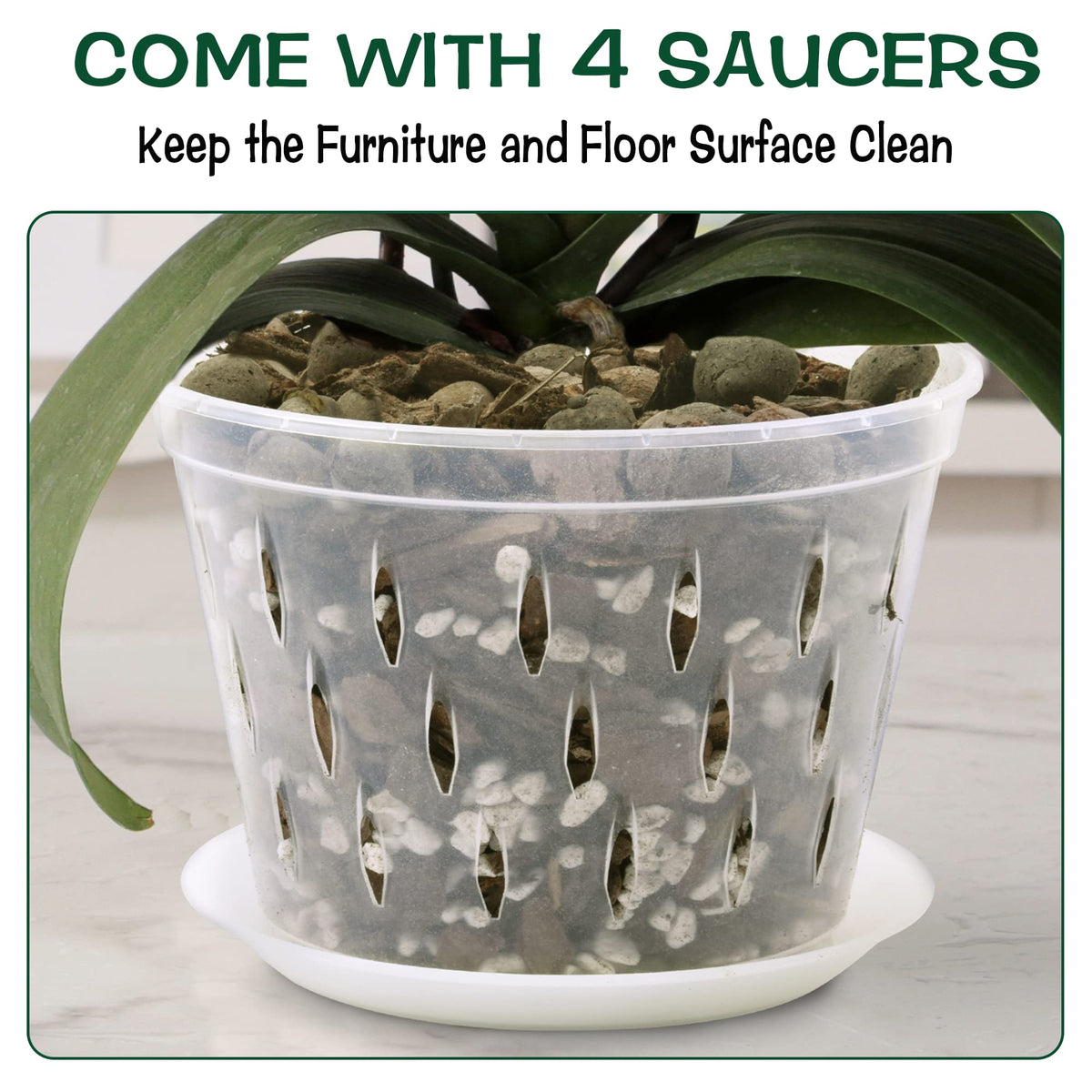 Lanccona 8inch orchid pot with drainage-friendly design supports healthy roots.