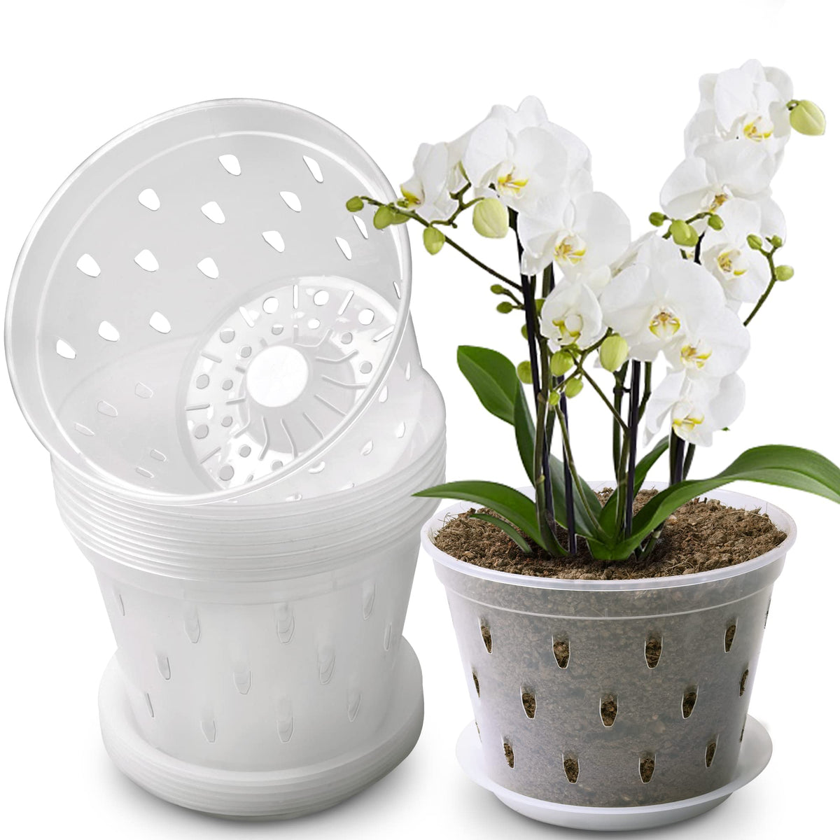 Lanccona Orchid Pot 7-inch top view for easy root observation.