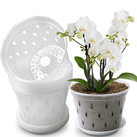 Lanccona Orchid Pot 7-inch top view for easy root observation.