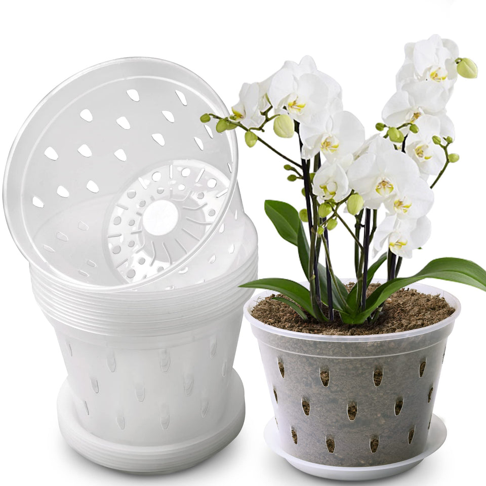 Lanccona Orchid Pot 7-inch top view for easy root observation.