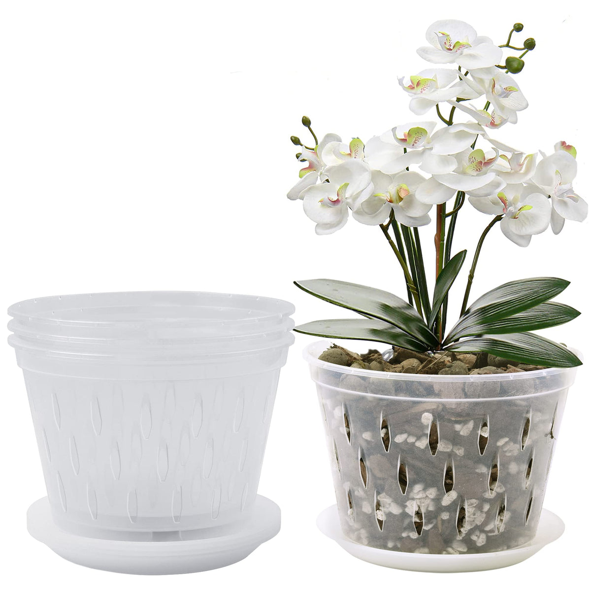 Lanccona Orchid Pot 8inch top view shows clear plastic for easy root inspection.
