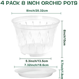 Lanccona orchid pot clear material helps monitor root health before watering.