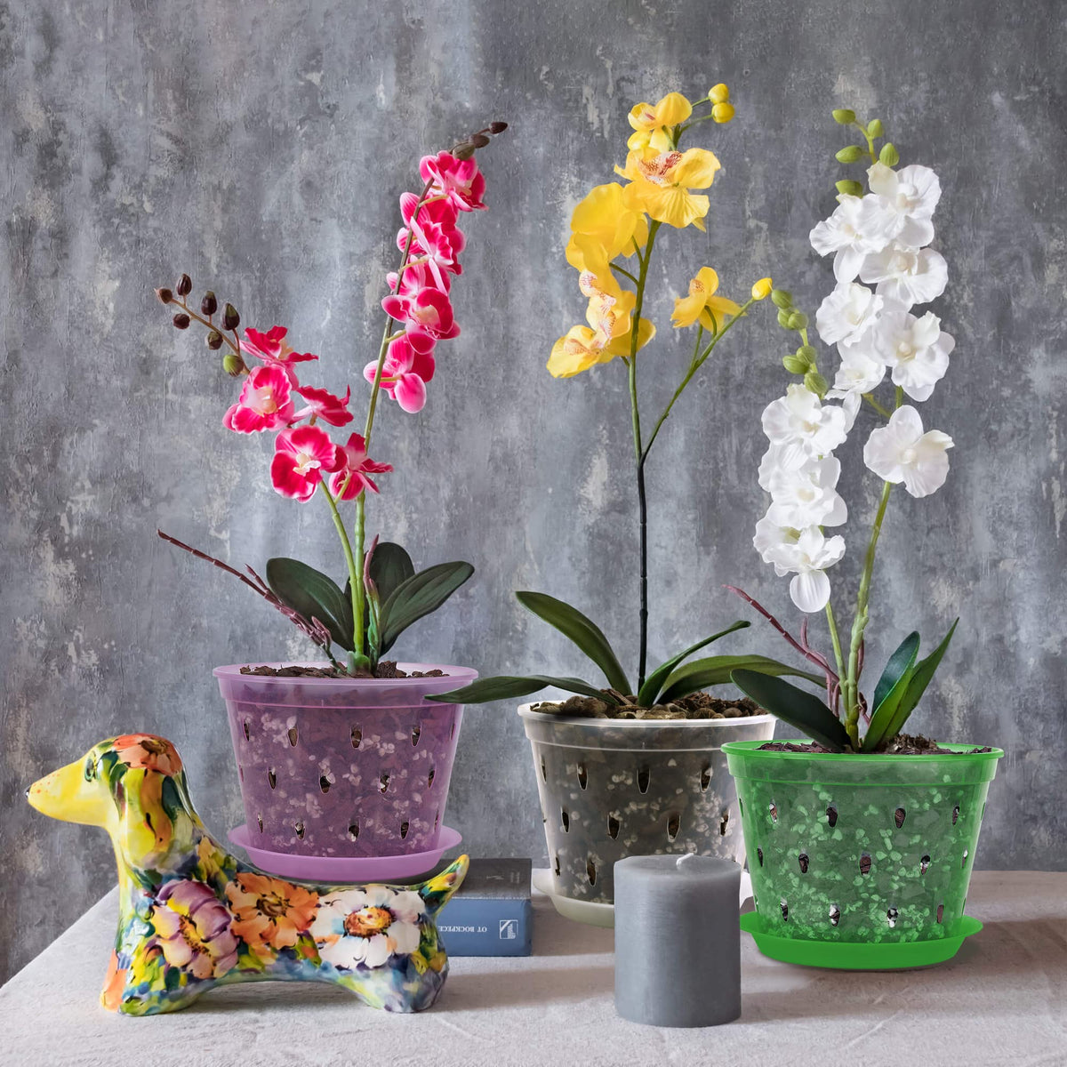 Lanccona Orchid Pot clear sides for visible root checks.