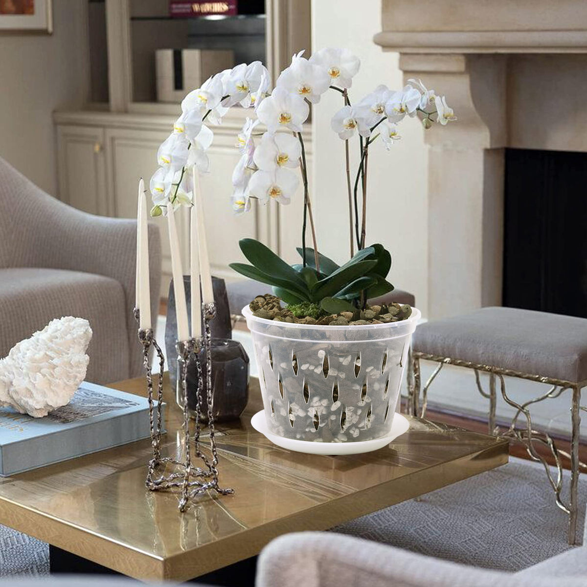 Lanccona orchid pot suits home and garden enthusiasts for easy maintenance.