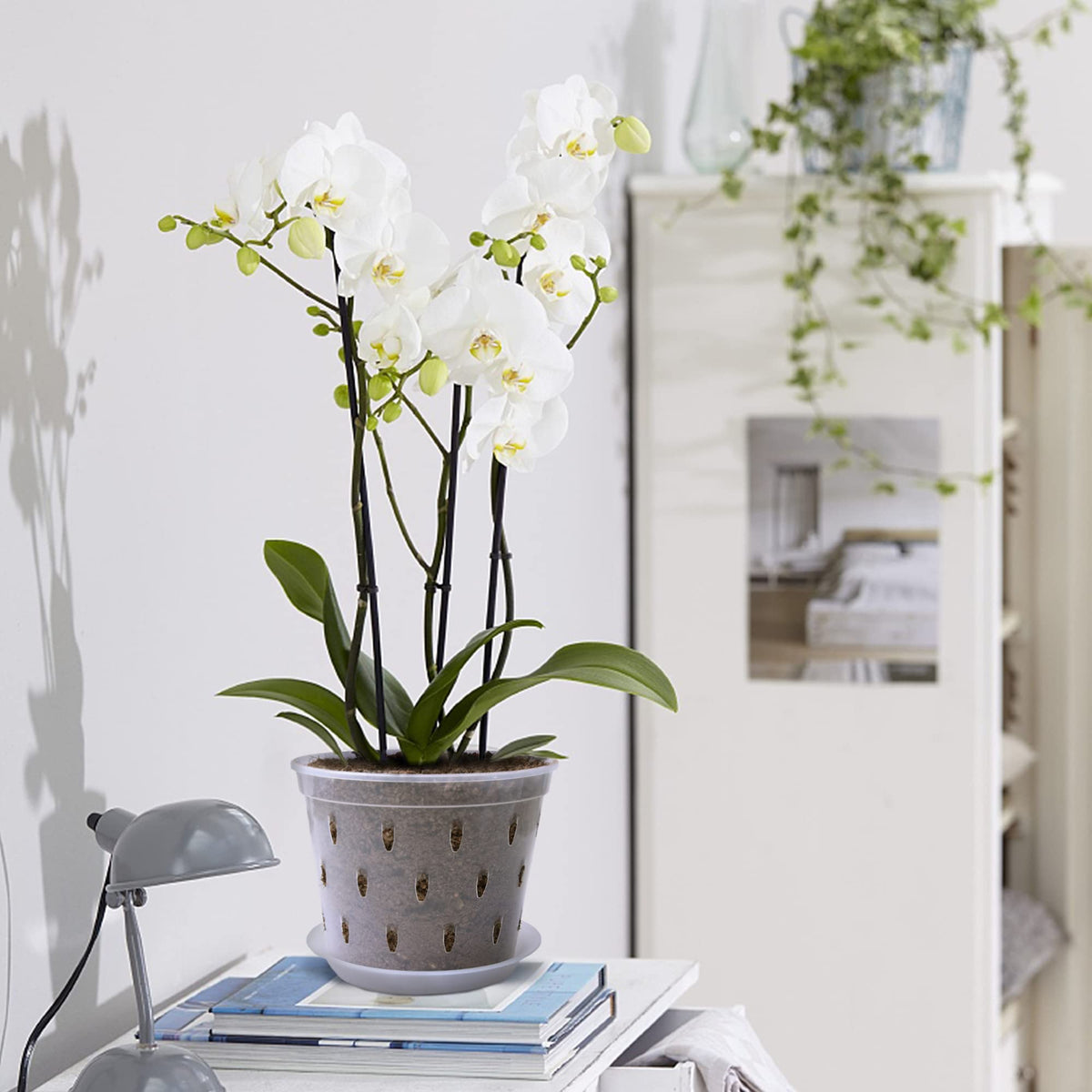 Lanccona Orchid Pot indoor-use suitable for home orchid displays.
