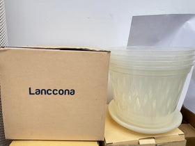 Lanccona orchid pot pack of four provides affordable home gardening solution.