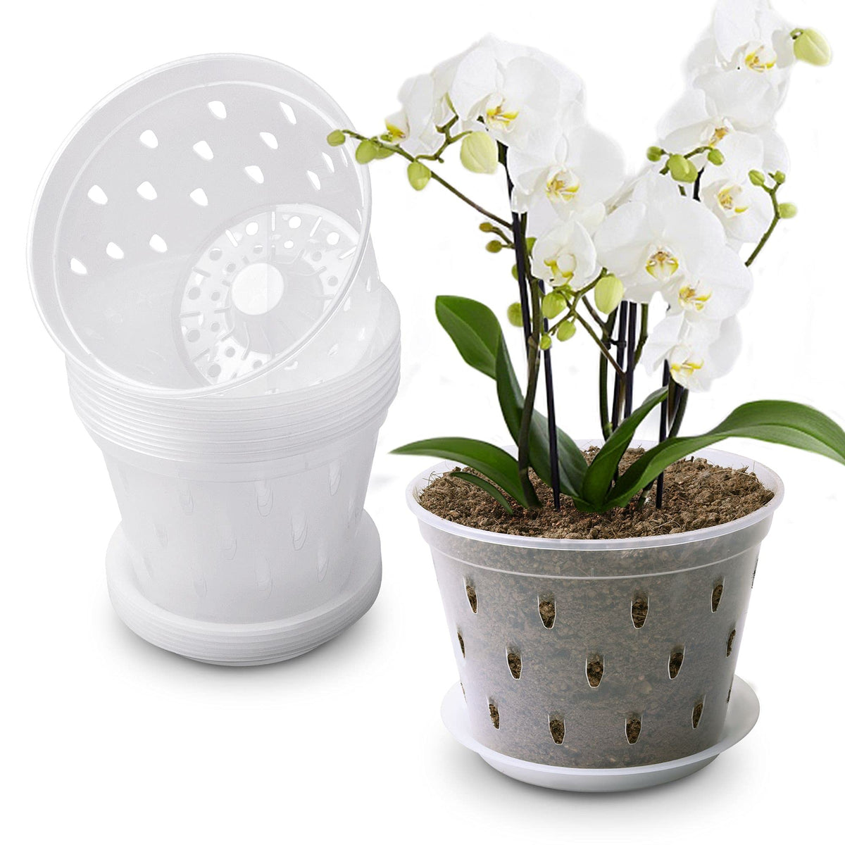 Lanccona Orchid Pot packaging shows eight pots and saucers.