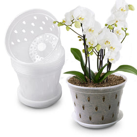 Lanccona Orchid Pot packaging shows eight pots and saucers.
