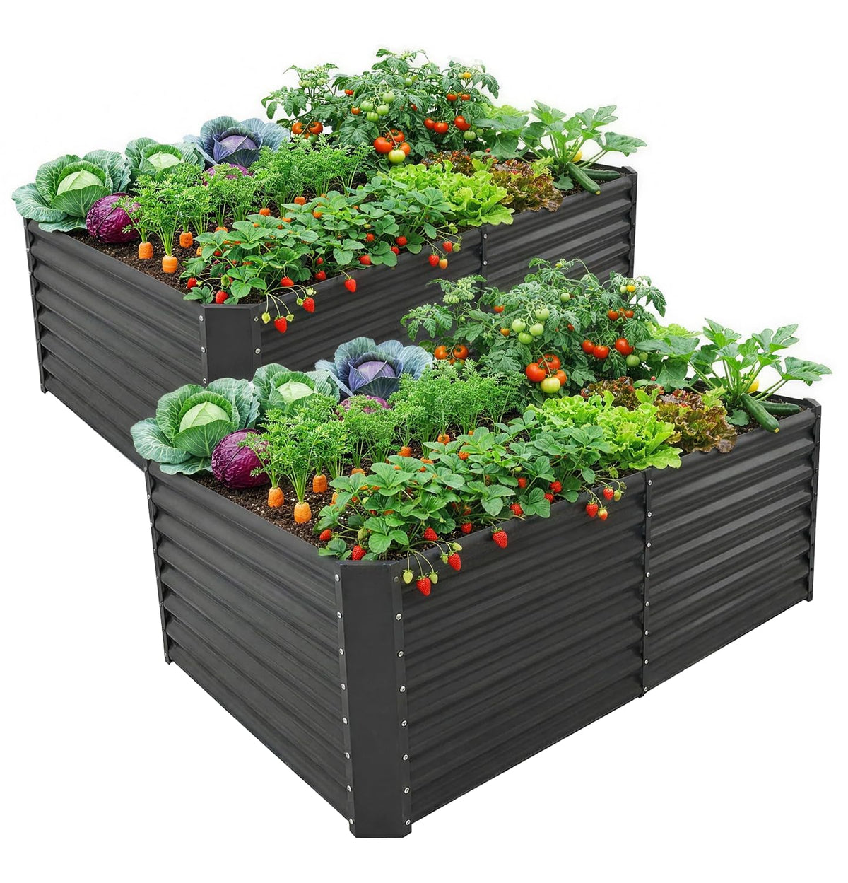 Land Guard 2-pack 6x3x2 ft bed full view shows durable galvanized steel for long-lasting outdoor gardening