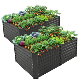 Land Guard 2-pack 6x3x2 ft bed full view shows durable galvanized steel for long-lasting outdoor gardening