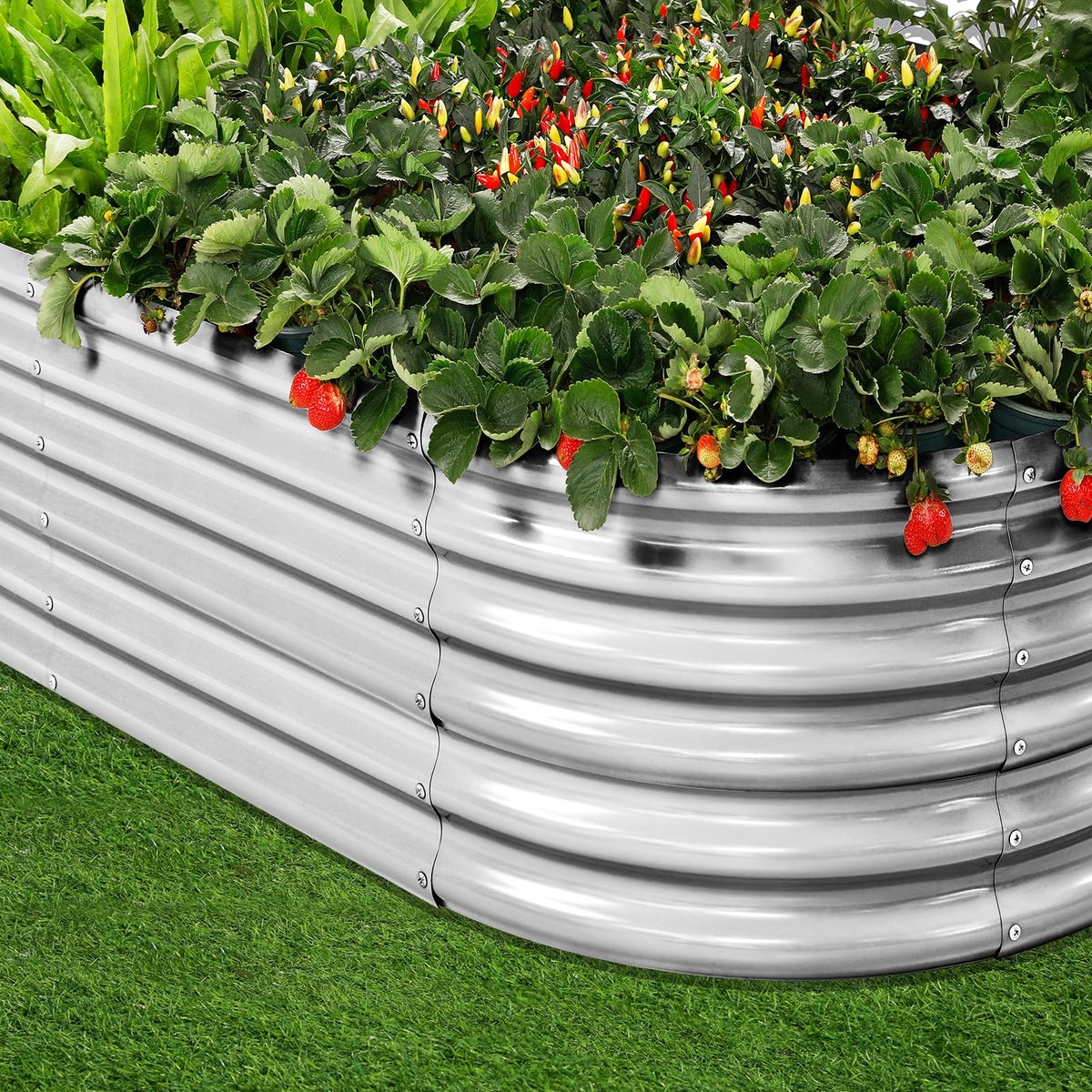 Land Guard open-bottom design prevents waterlogging, protecting plant roots and improving drainage.