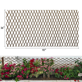 LANDGARDEN expandable willow trellis close-up, natural plant support for climbing vines.