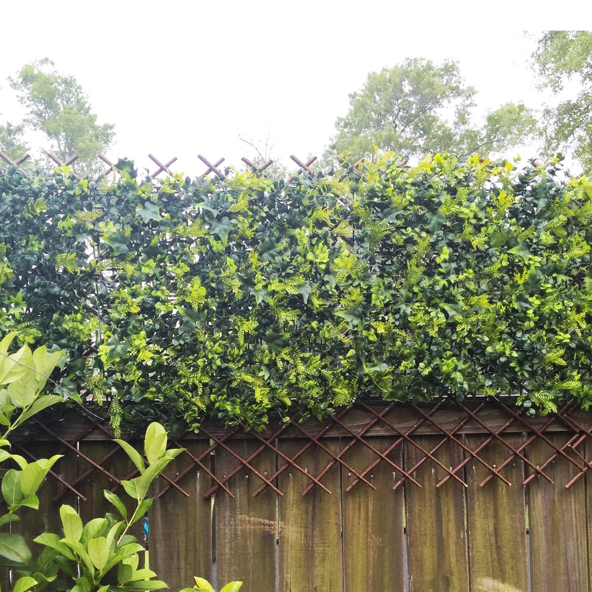 LANDGARDEN indoor and outdoor use, easily attaches to walls or fences.