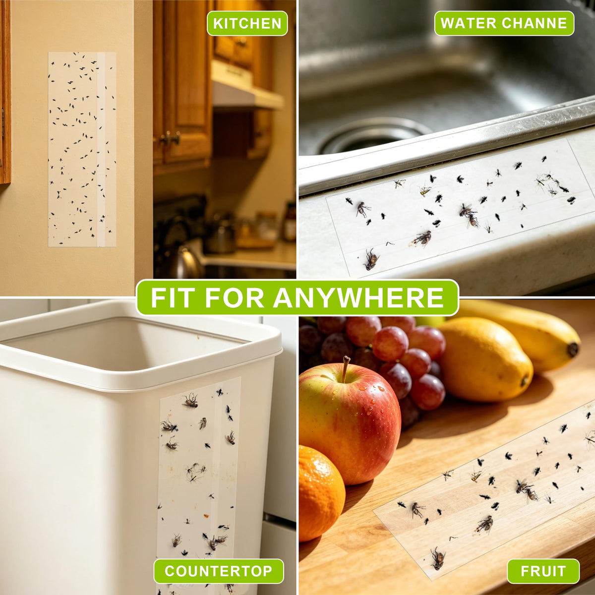 Landisun fruit fly trap sticky glue catches pests on contact
