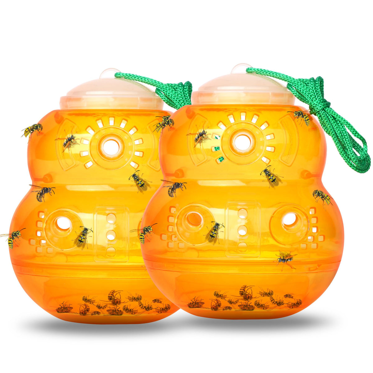 Landisun Wasp Trap hanging setup protects outdoor spaces from pests