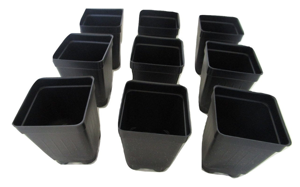 Landmark Plastics 2-5 square extra deep nursery pot, top view for seedling starts.