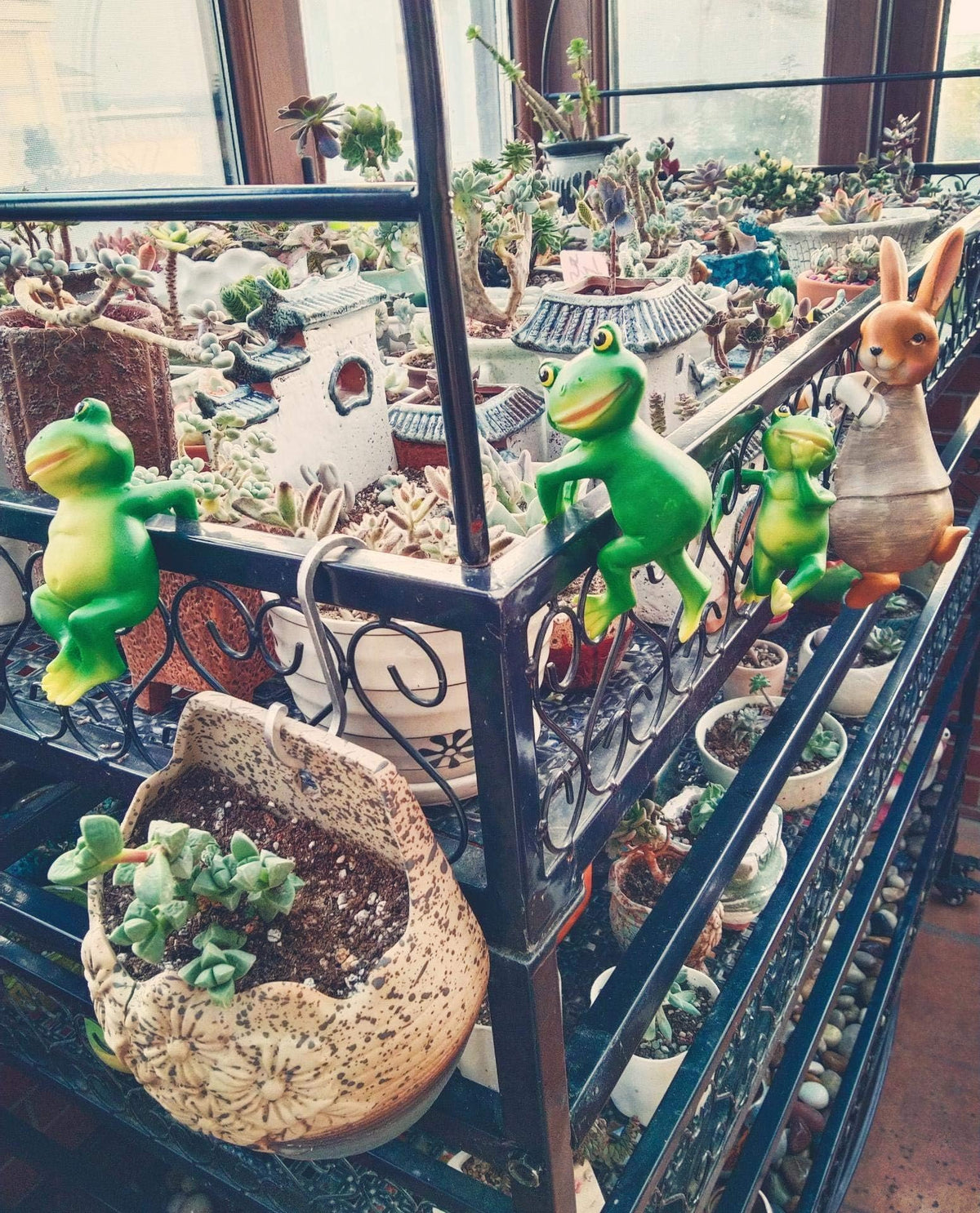 LANDOR patio lawn frog figures brighten any outdoor living area.