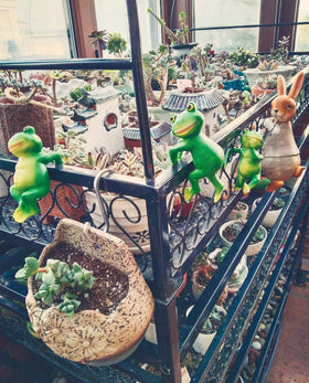 LANDOR patio lawn frog figures brighten any outdoor living area.