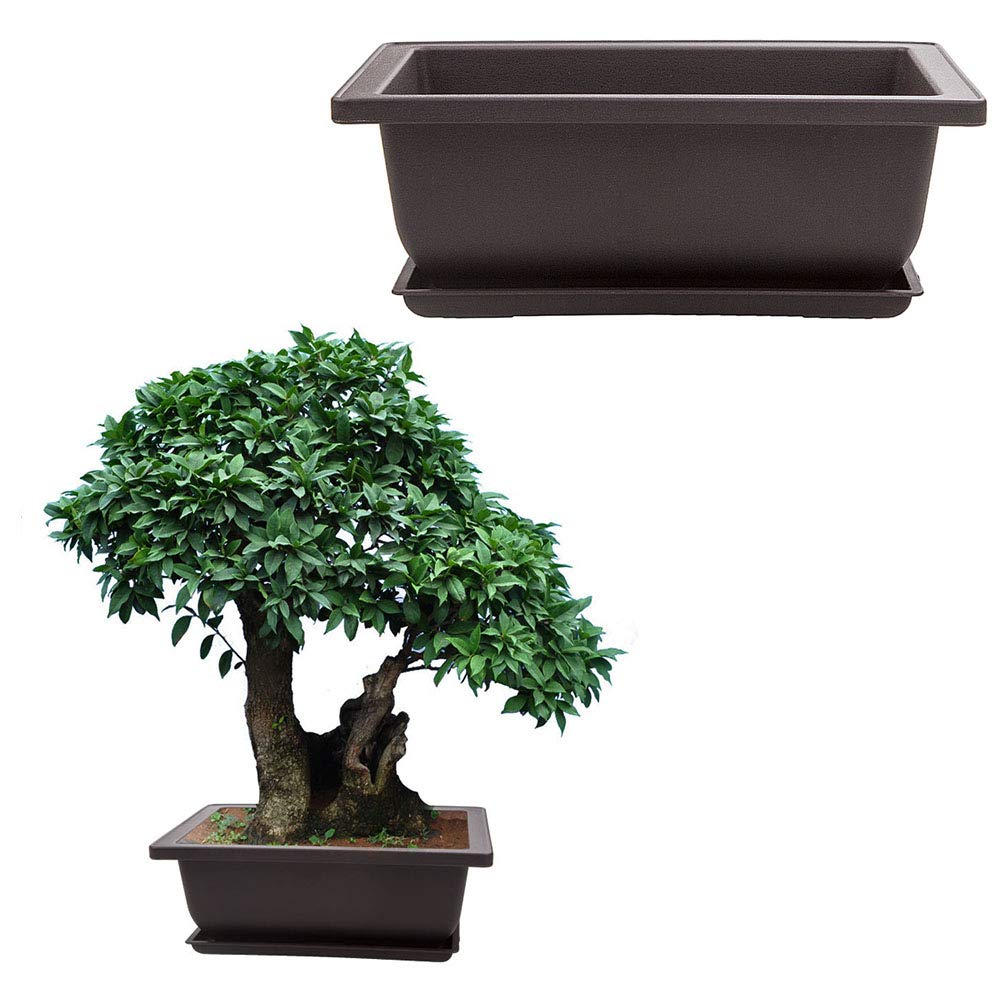 LANIAKEA bonsai pot home garden decor complements indoor or balcony spaces.