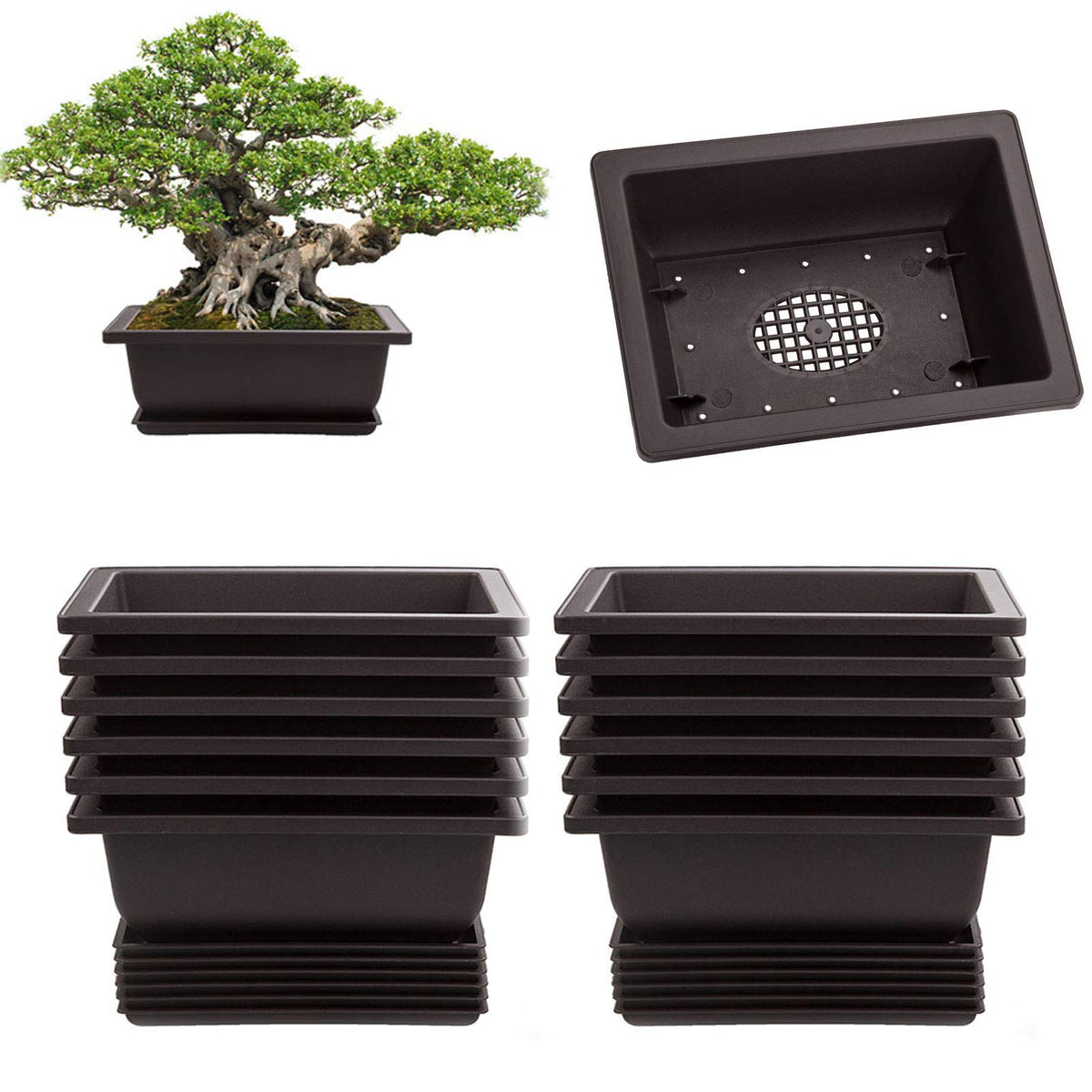 LANIAKEA bonsai pot 6.5-inch with tray provides durable drainage for seedlings.