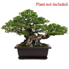 LANIAKEA bonsai pot for seedling nursery supports small plants and easy transfer.