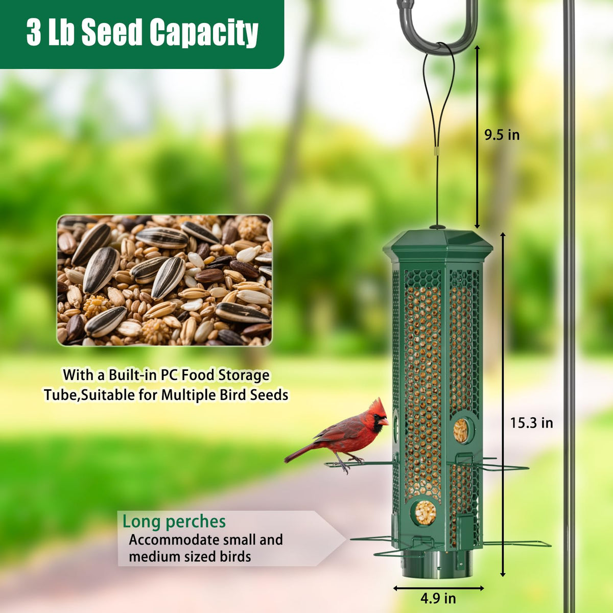 Lannso 3lb seed capacity with transparent tube helps quick refills.
