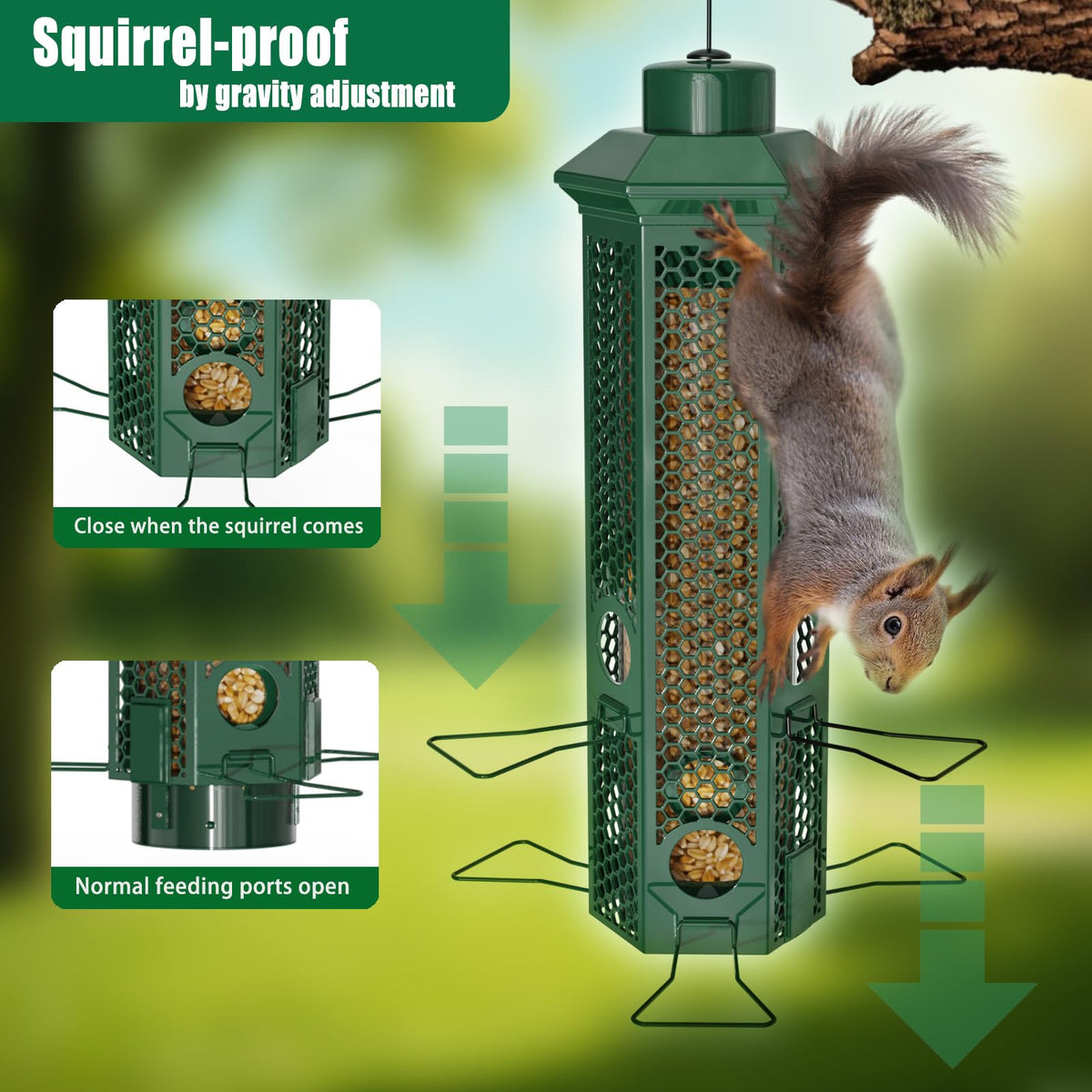 Lannso six-port bird feeder design with stable perches supports multiple birds.