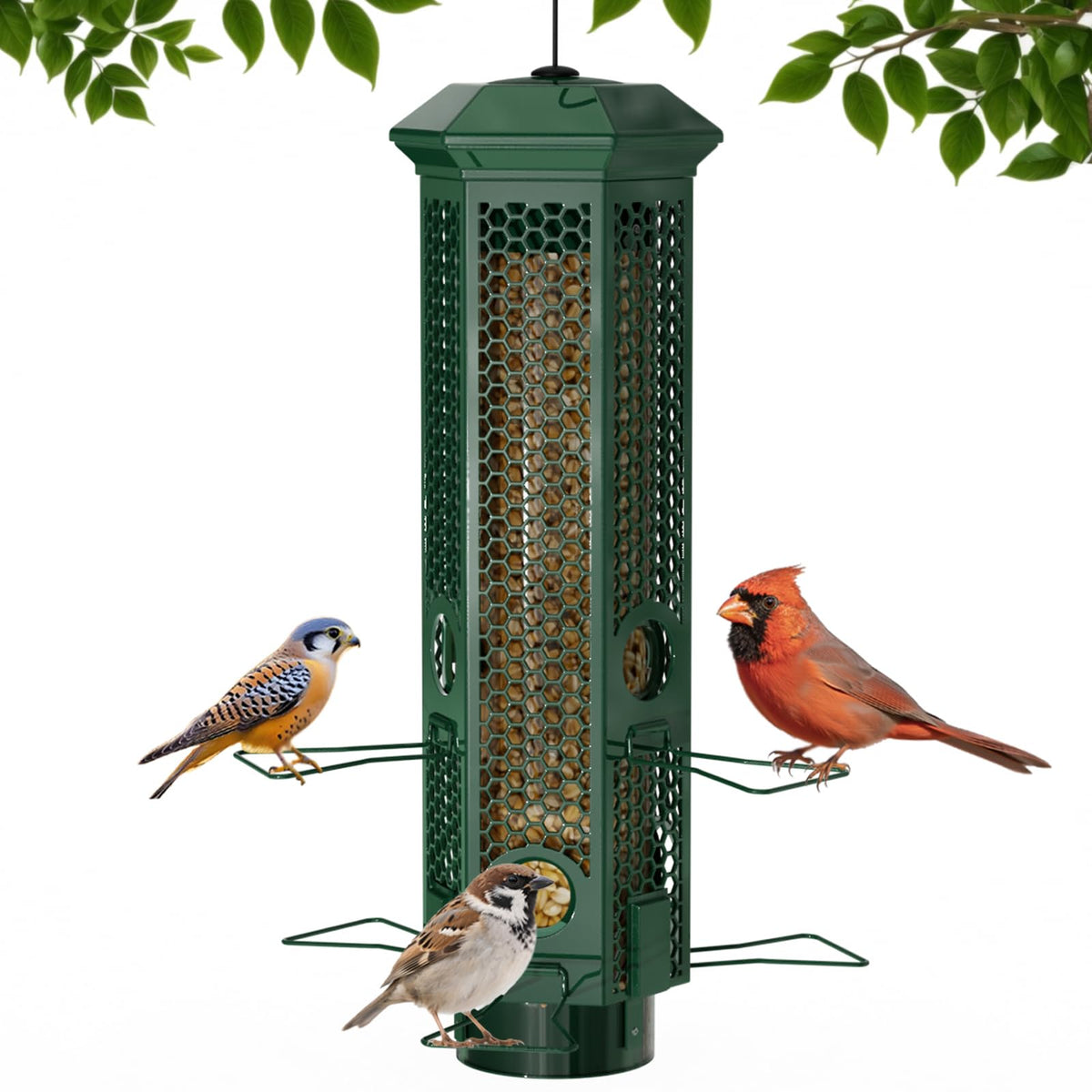 Lannso squirrel-proof feeder in green with removable base for easy outdoor cleaning.
