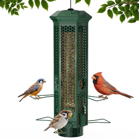 Lannso squirrel-proof feeder in green with removable base for easy outdoor cleaning.