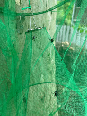 Lanternfly Motel emptying mechanism with top string untied for quick cleaning