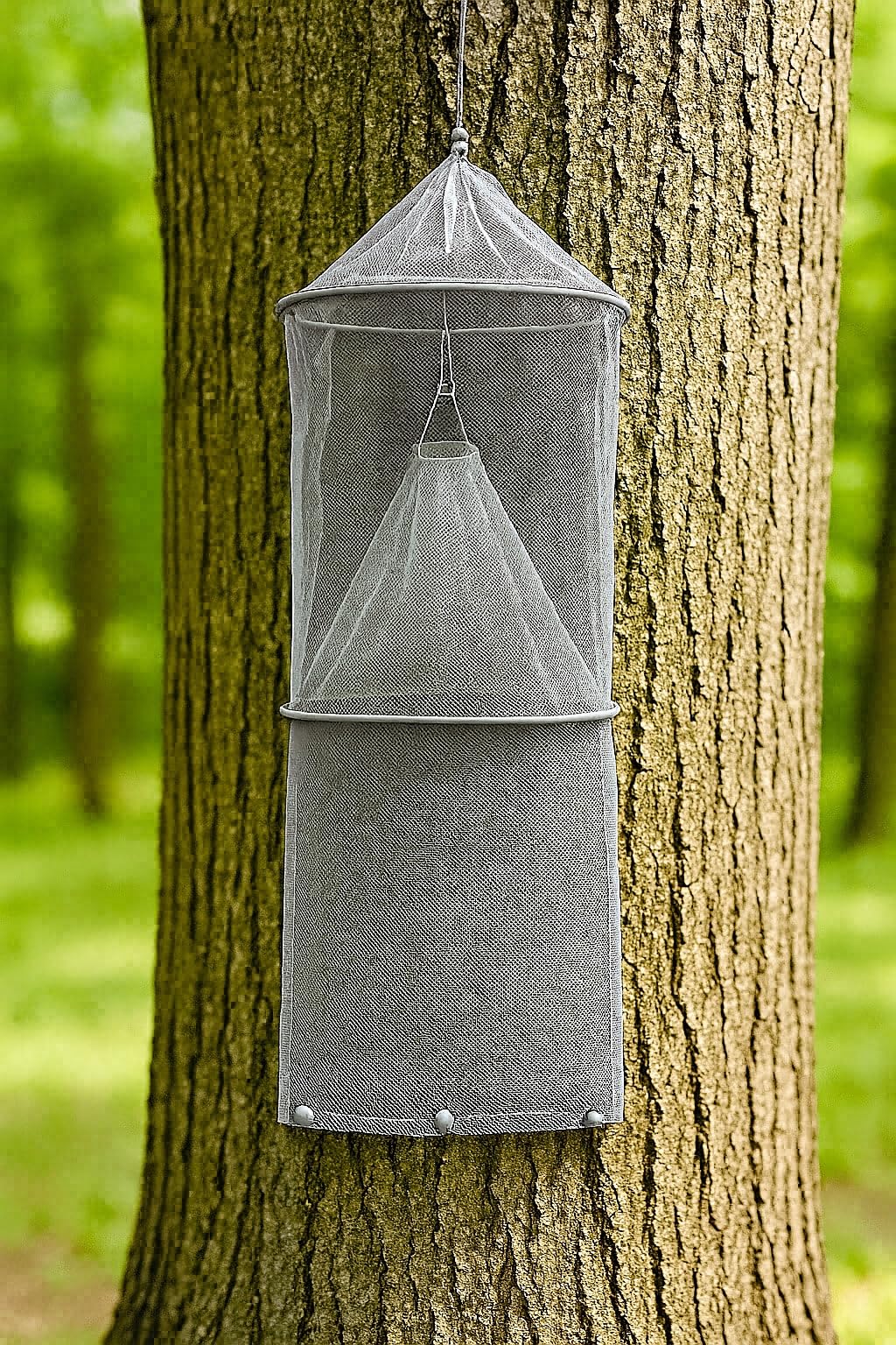 Lanternfly Motel front view gray showing trap ready to catch lanternflies and nymphs