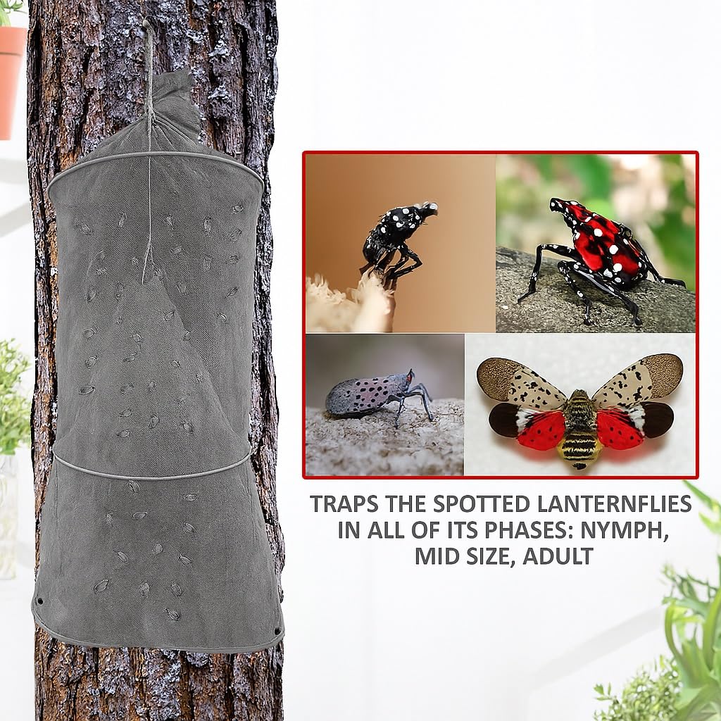 Lanternfly Motel mesh cone detail highlighting funnel design for effective capture