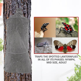 Lanternfly Motel mesh cone detail highlighting funnel design for effective capture