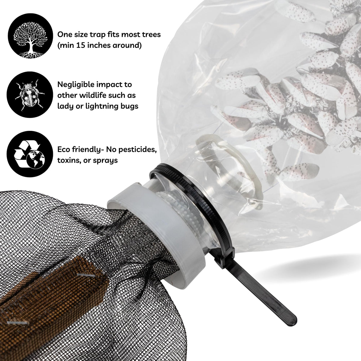 LanternFly Trap Co funnel close-up highlighting targeted design and efficient capture