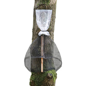 LanternFly Trap Co front view showing non-toxic trap catching lanternflies safely