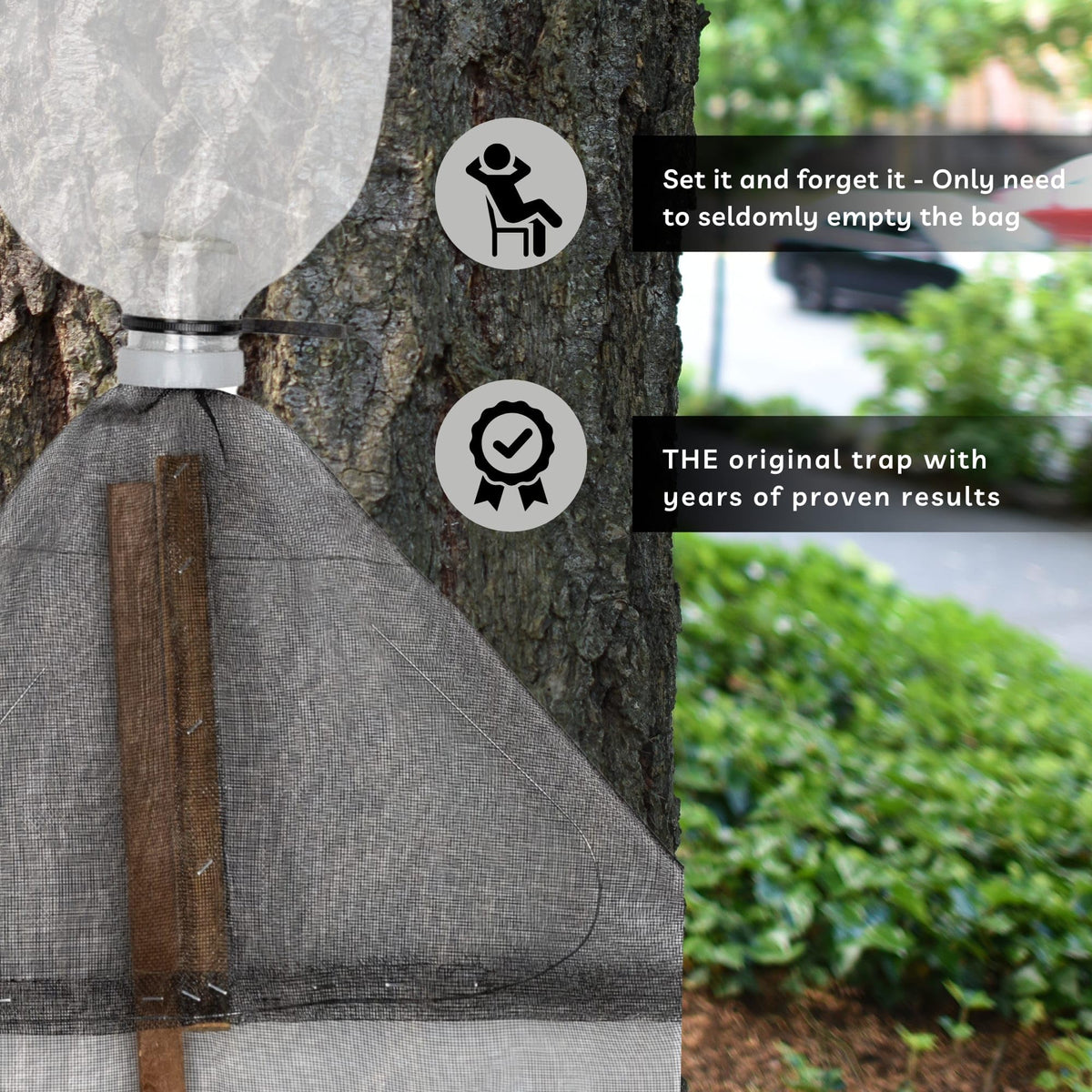 LanternFly Trap Co mounted on tree trunk protecting trees and reducing SLF pressure