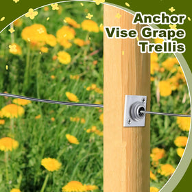 Lanties anchor wire vise with screws included for quick setup.