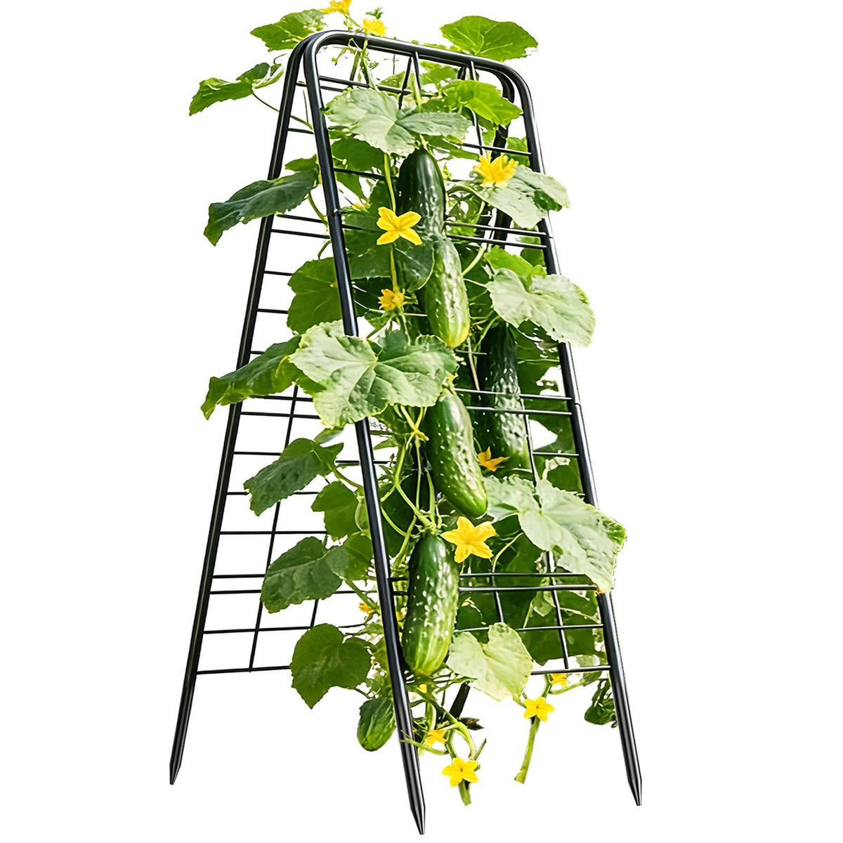 Laodier cucumber trellis 50x17 supports climbing vines in raised beds