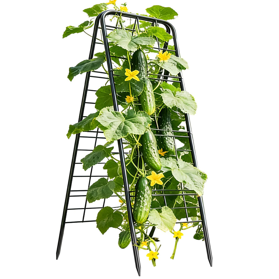 Laodier cucumber trellis 50x17 supports climbing vines in raised beds